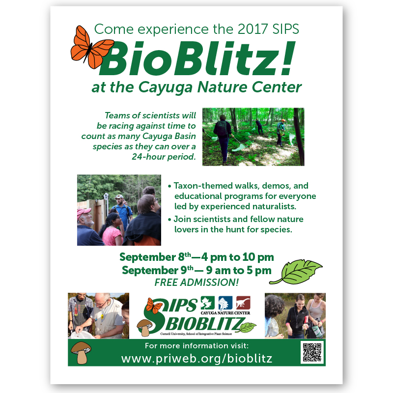 BioBlitz flyer