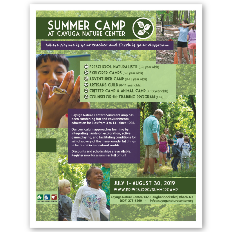 Cayuga Nature Center Summer Camp flyer