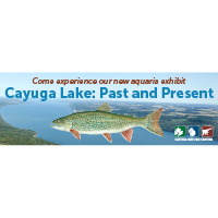 Cayuga Lake Past and Present website header