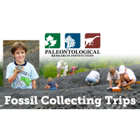 Fossil Collecting Trips Facebook event ad
