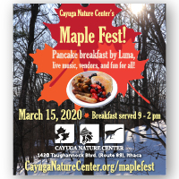 Maple Fest 2020 ad