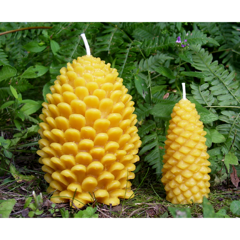 Pine Cone candles