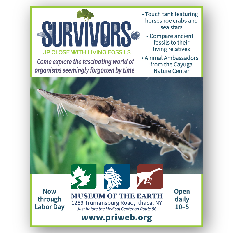 Survivors Exhibit 1/4 page newspaper ad